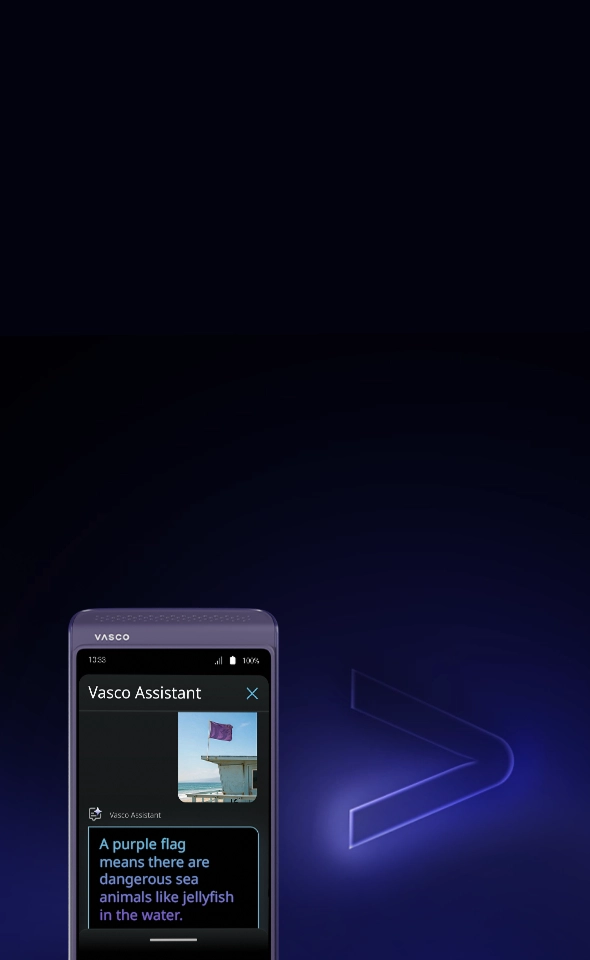 A Vasco device displaying the 'Vasco Assistant' AI feature screen. The UI shows a photo of a purple flag on a lifeguard tower, with a chat response explaining: 'A purple flag means there are dangerous sea animals like jellyfish in the water.'
